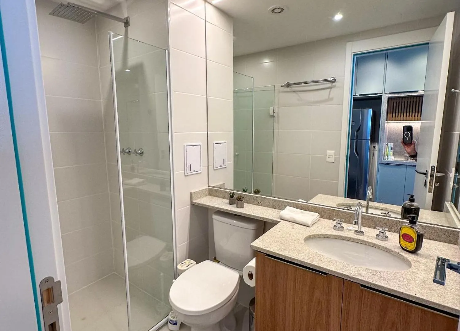 Apartment Apto Aconchegante E Bem Decorado Sao Paulo Brazil